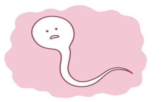 如何从颜色和味道检查精子的质量？两个方法教会你